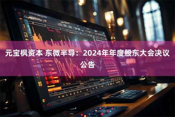 元宝枫资本 东微半导：2024年年度股东大会决议公告