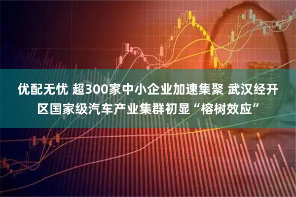 优配无忧 超300家中小企业加速集聚 武汉经开区国家级汽车产业集群初显“榕树效应”