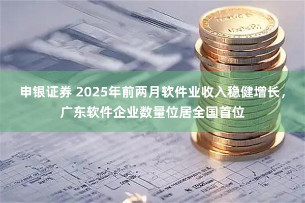 申银证券 2025年前两月软件业收入稳健增长，广东软件企业数量位居全国首位