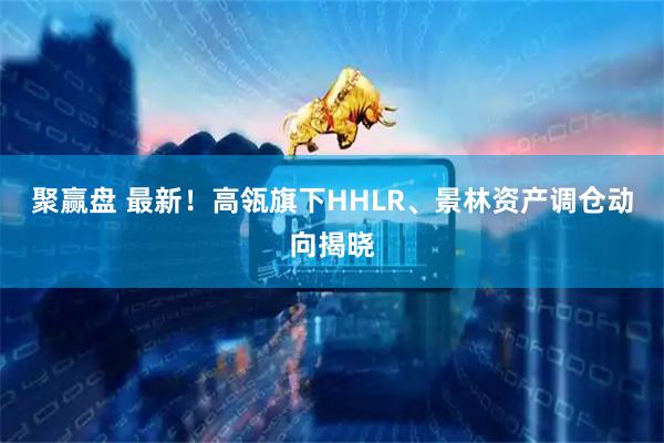 聚赢盘 最新！高瓴旗下HHLR、景林资产调仓动向揭晓