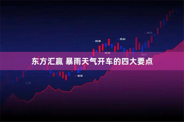 东方汇赢 暴雨天气开车的四大要点