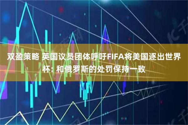 双盈策略 英国议员团体呼吁FIFA将美国逐出世界杯: 和俄罗斯的处罚保持一致