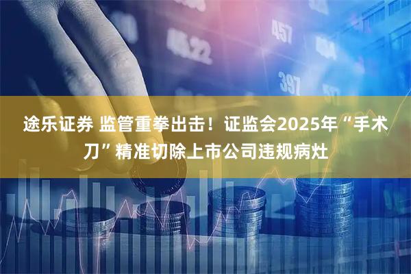 途乐证券 监管重拳出击！证监会2025年“手术刀”精准切除上市公司违规病灶